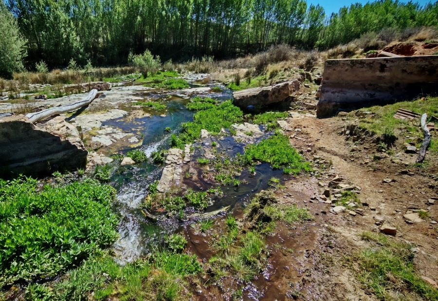 4 Bedroom Property for Sale in Middelburg Rural Eastern Cape